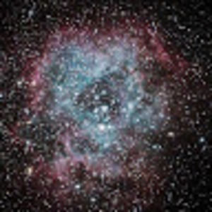 Meet your Posher, Angella